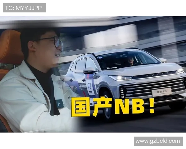 实时新闻上海乒乓球队运营分析成功经验与面临挑战的深度剖析